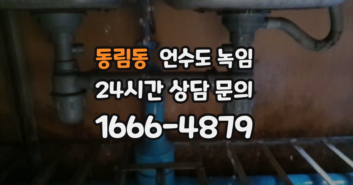 동림동 언수도 녹임