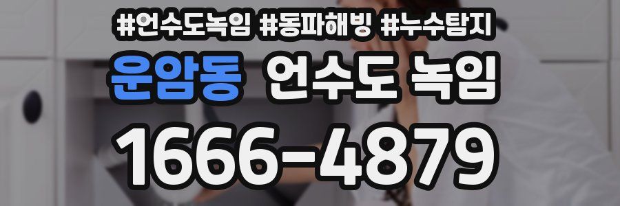 운암동 언수도 녹임