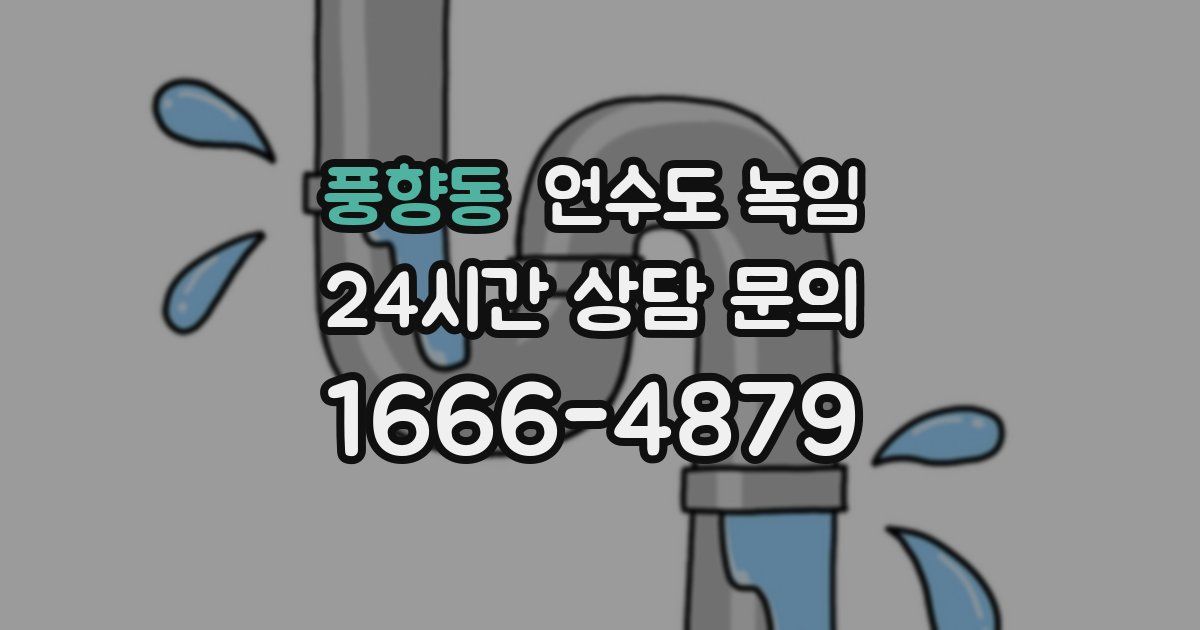 풍향동 언수도 녹임