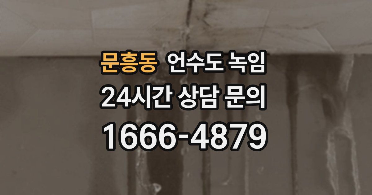 문흥동 언수도 녹임