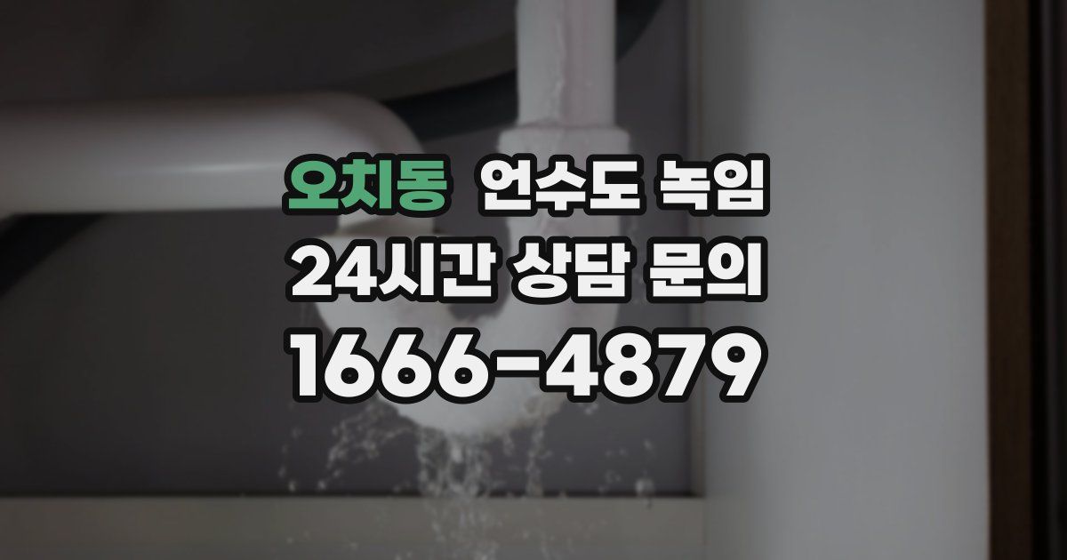 오치동 언수도 녹임