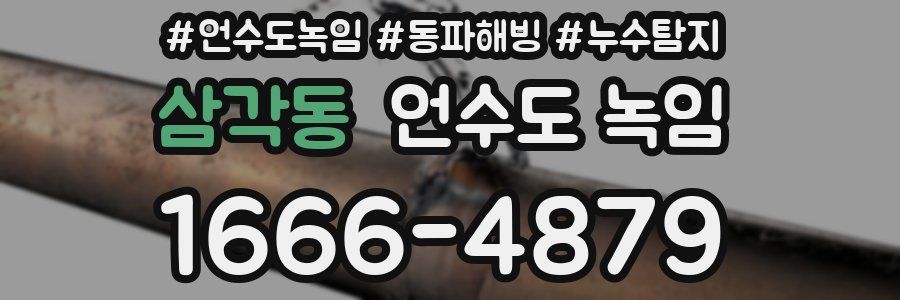 삼각동 언수도 녹임