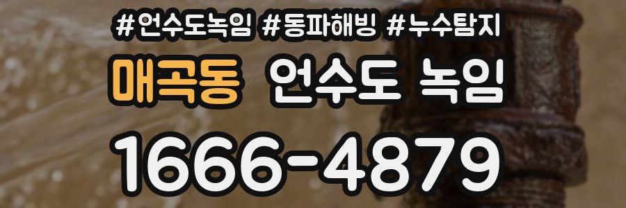 매곡동 언수도 녹임