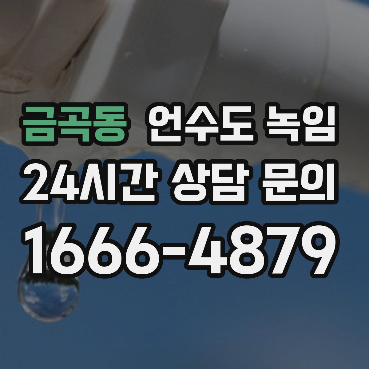 금곡동 언수도 녹임