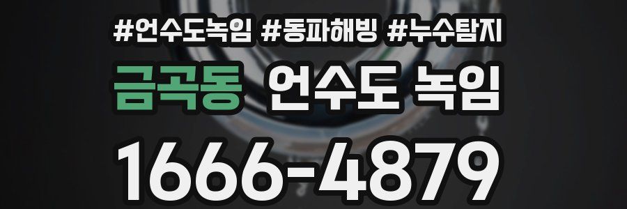 금곡동 언수도 녹임