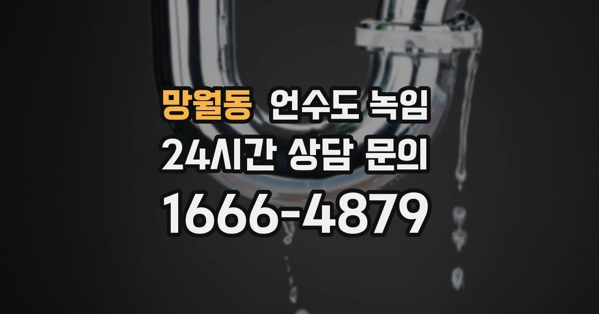 망월동 언수도 녹임