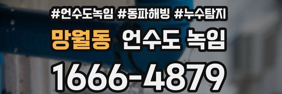 망월동 언수도 녹임