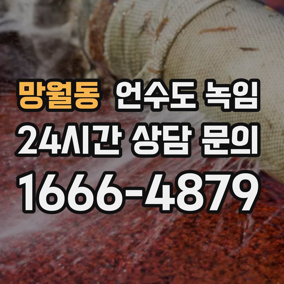 망월동 언수도 녹임