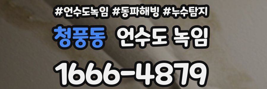 청풍동 언수도 녹임