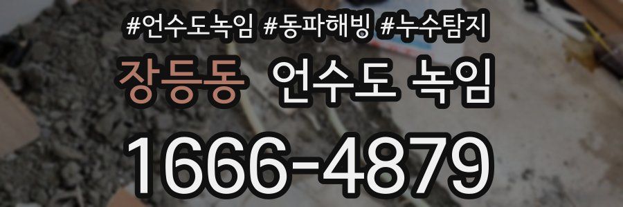 장등동 언수도 녹임