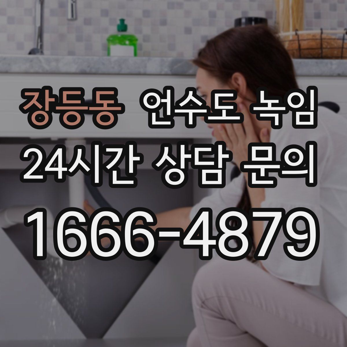 장등동 언수도 녹임