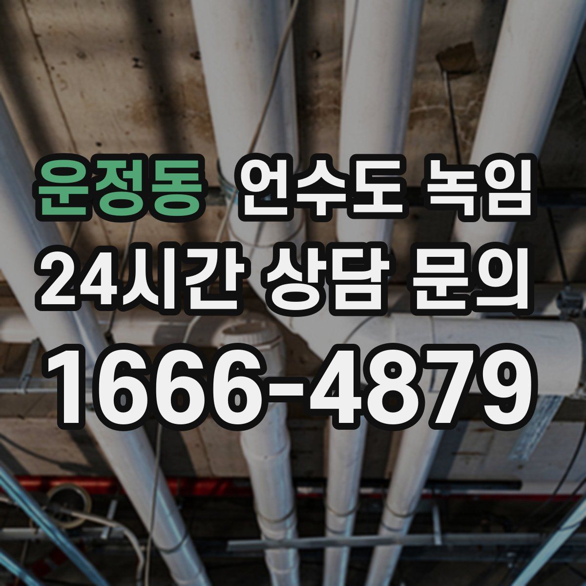 운정동 언수도 녹임