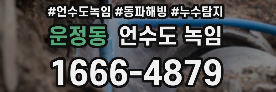 운정동 언수도 녹임