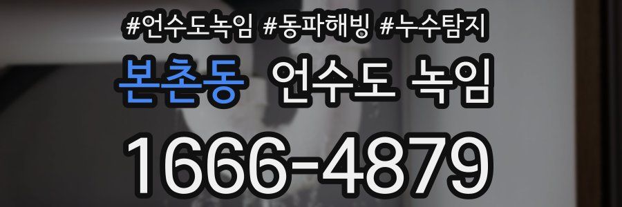 본촌동 언수도 녹임