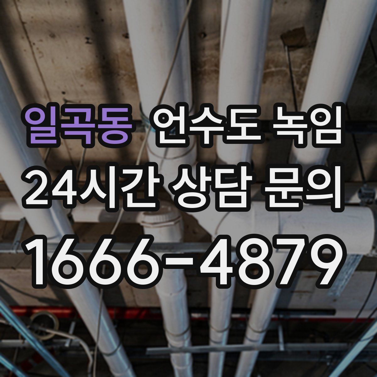 일곡동 언수도 녹임