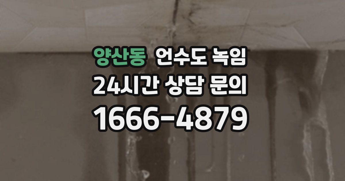 양산동 언수도 녹임