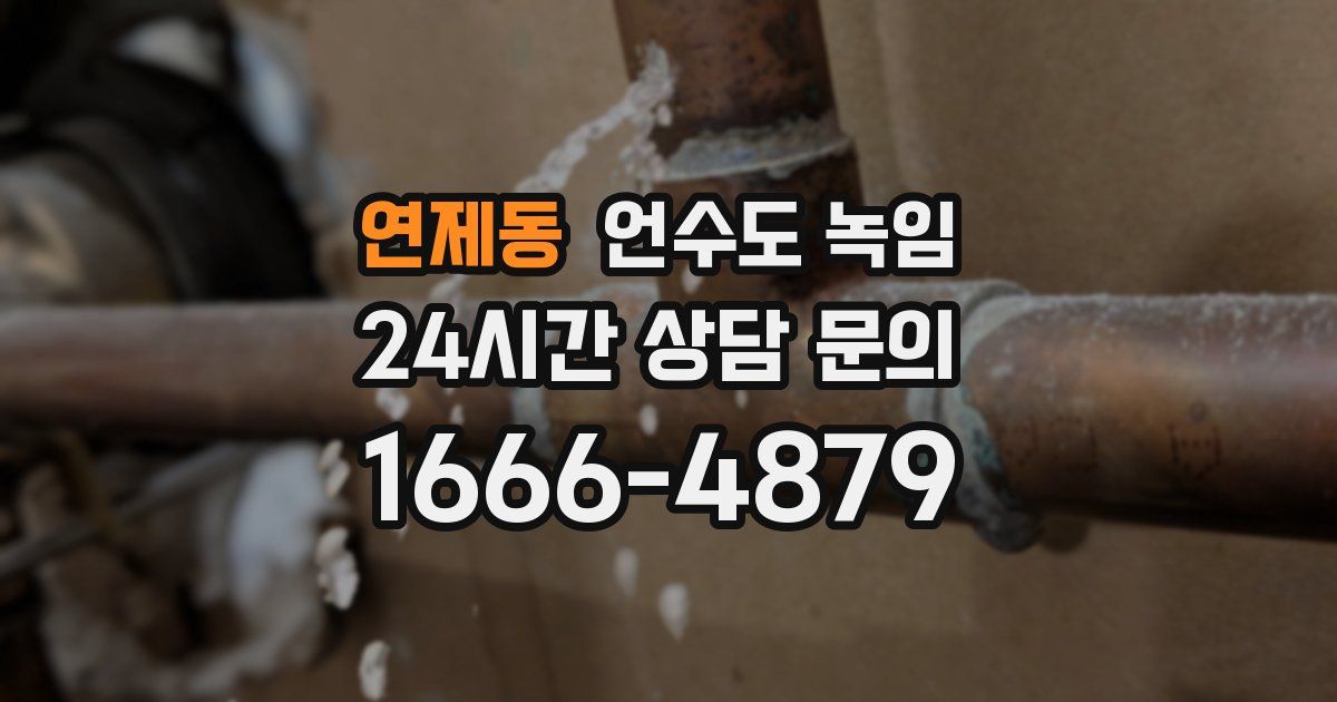 연제동 언수도 녹임