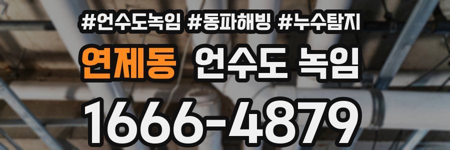 연제동 언수도 녹임
