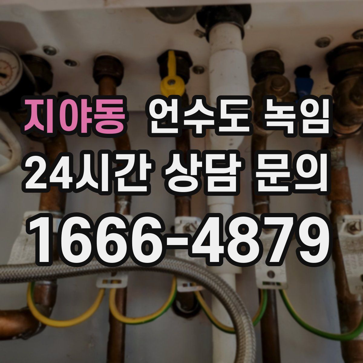 지야동 언수도 녹임