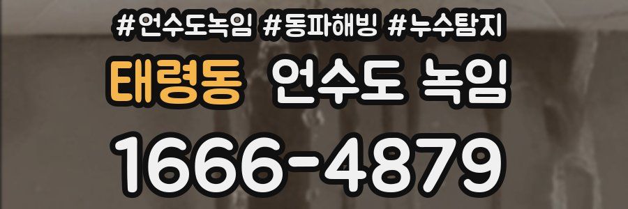 태령동 언수도 녹임