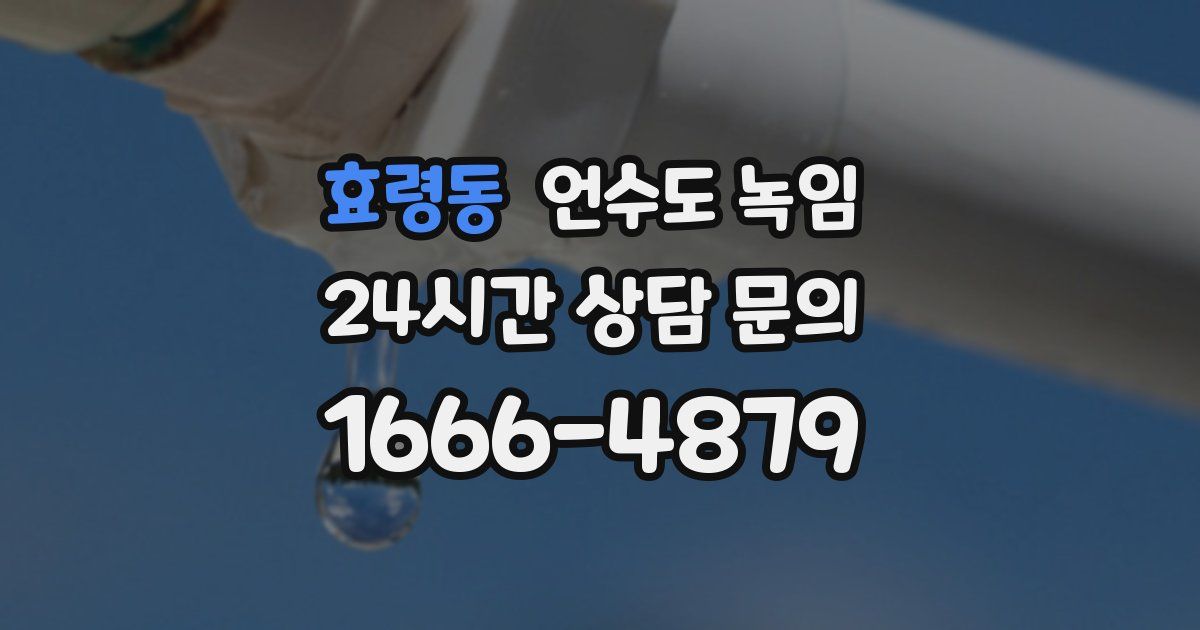 효령동 언수도 녹임