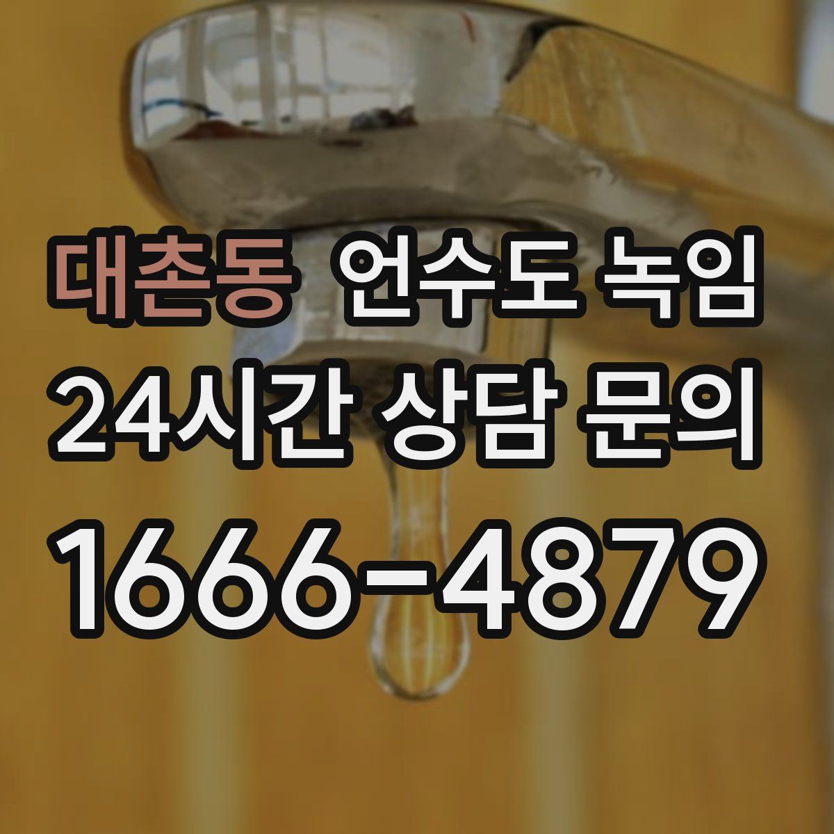 대촌동 언수도 녹임