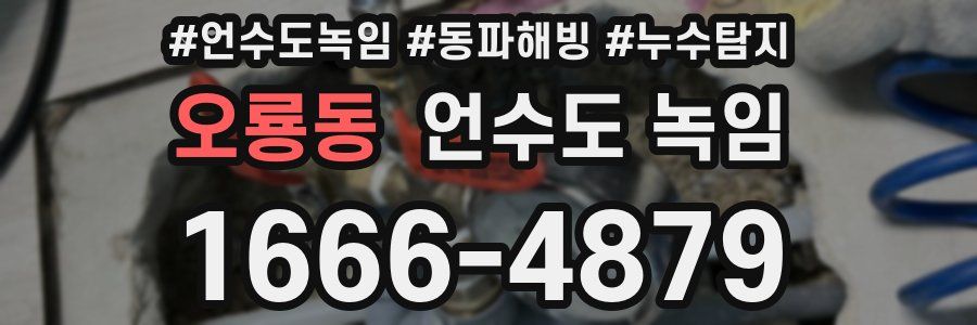 오룡동 언수도 녹임