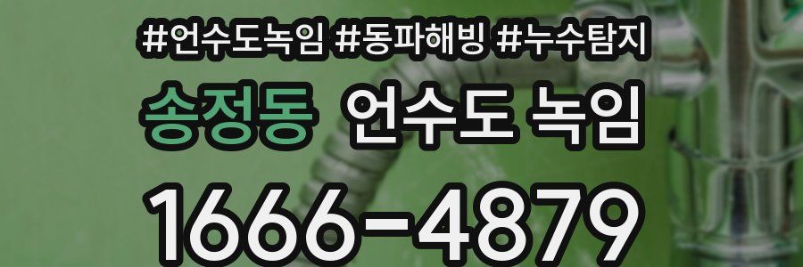 송정동 언수도 녹임