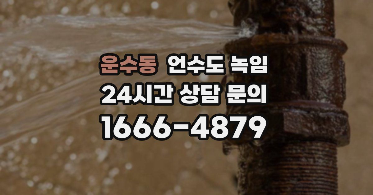 운수동 언수도 녹임