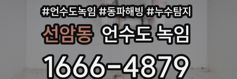 선암동 언수도 녹임