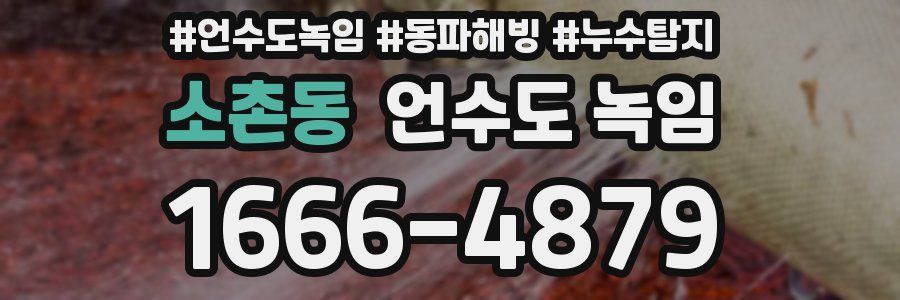 소촌동 언수도 녹임