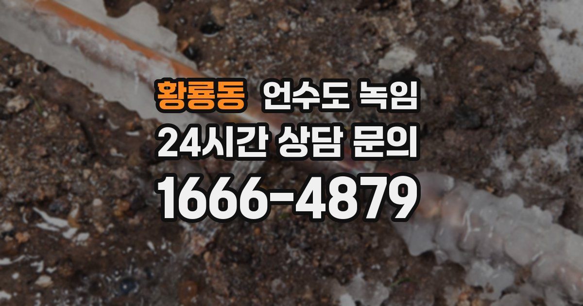 황룡동 언수도 녹임