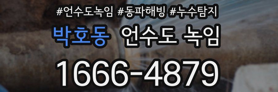 박호동 언수도 녹임