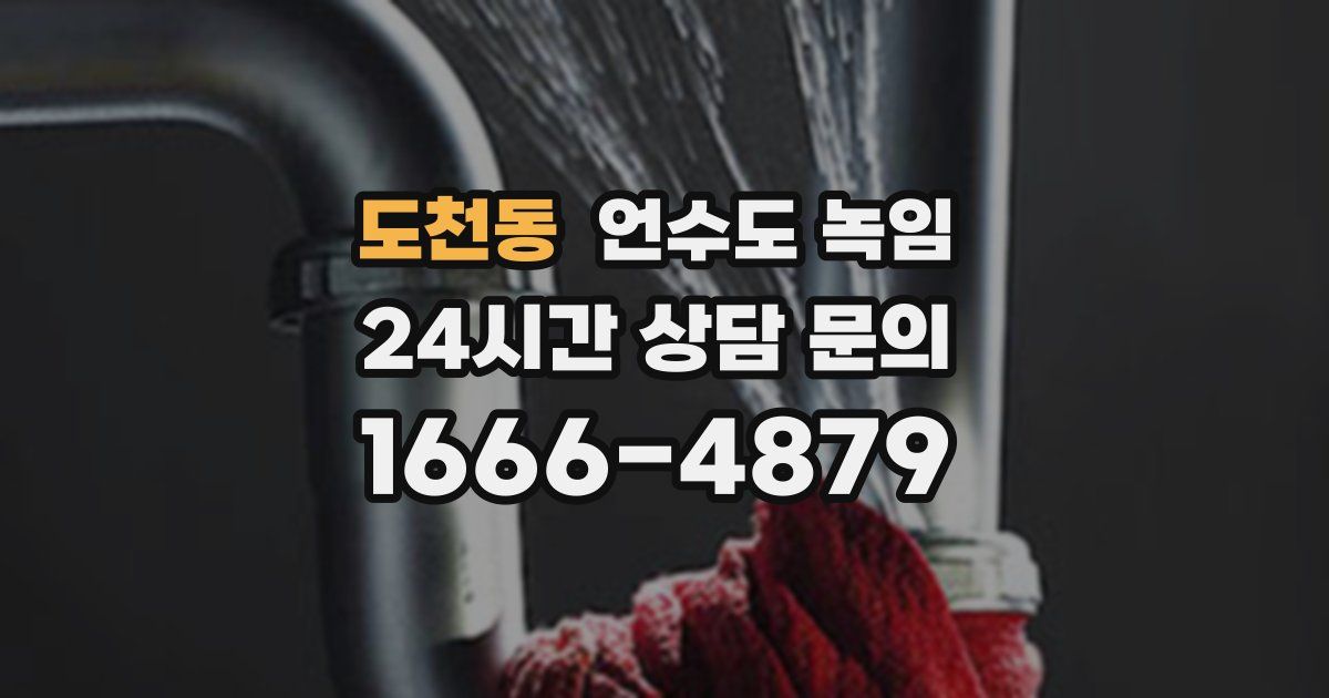 도천동 언수도 녹임