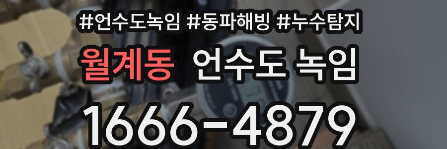 월계동 언수도 녹임