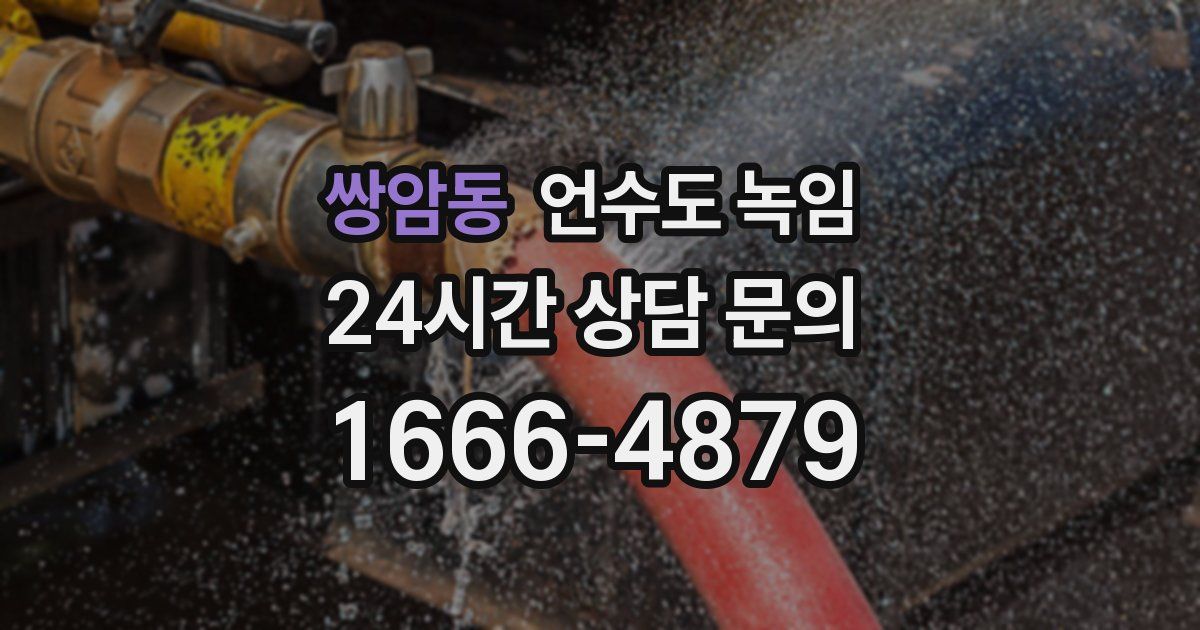 쌍암동 언수도 녹임