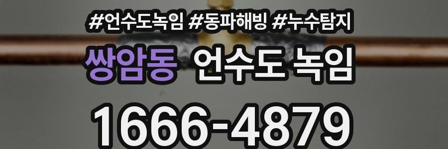 쌍암동 언수도 녹임