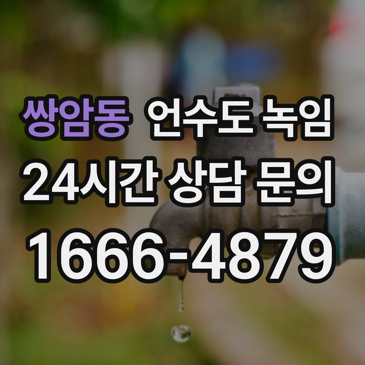 쌍암동 언수도 녹임