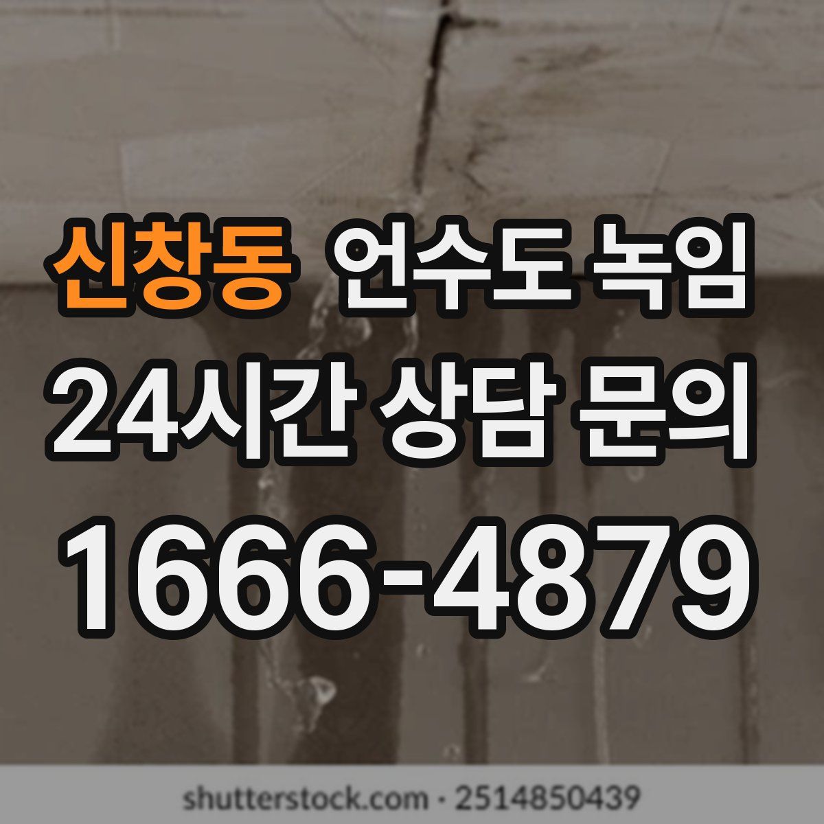 신창동 언수도 녹임