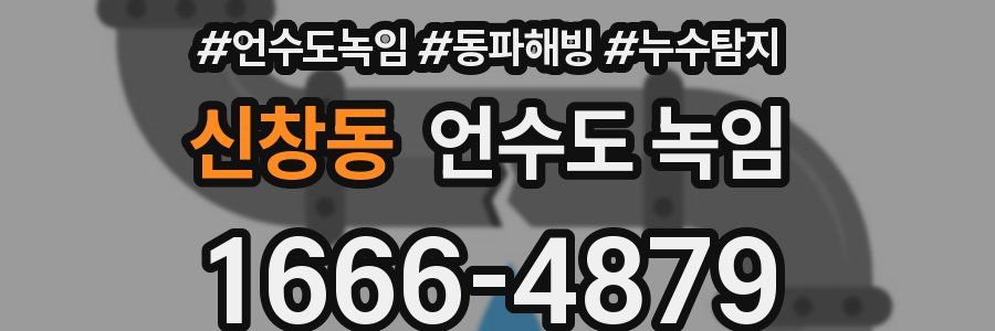 신창동 언수도 녹임