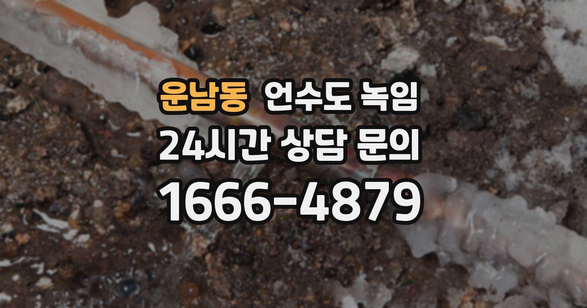 운남동 언수도 녹임