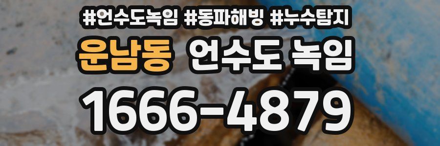운남동 언수도 녹임