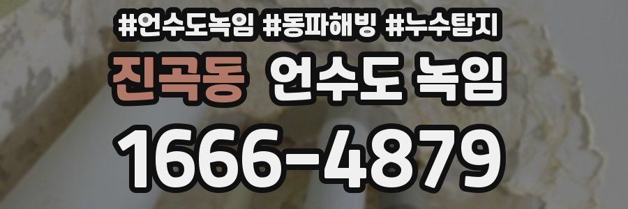 진곡동 언수도 녹임