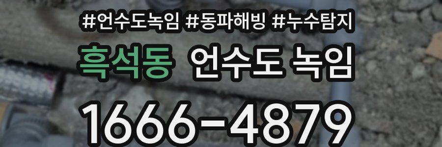 흑석동 언수도 녹임