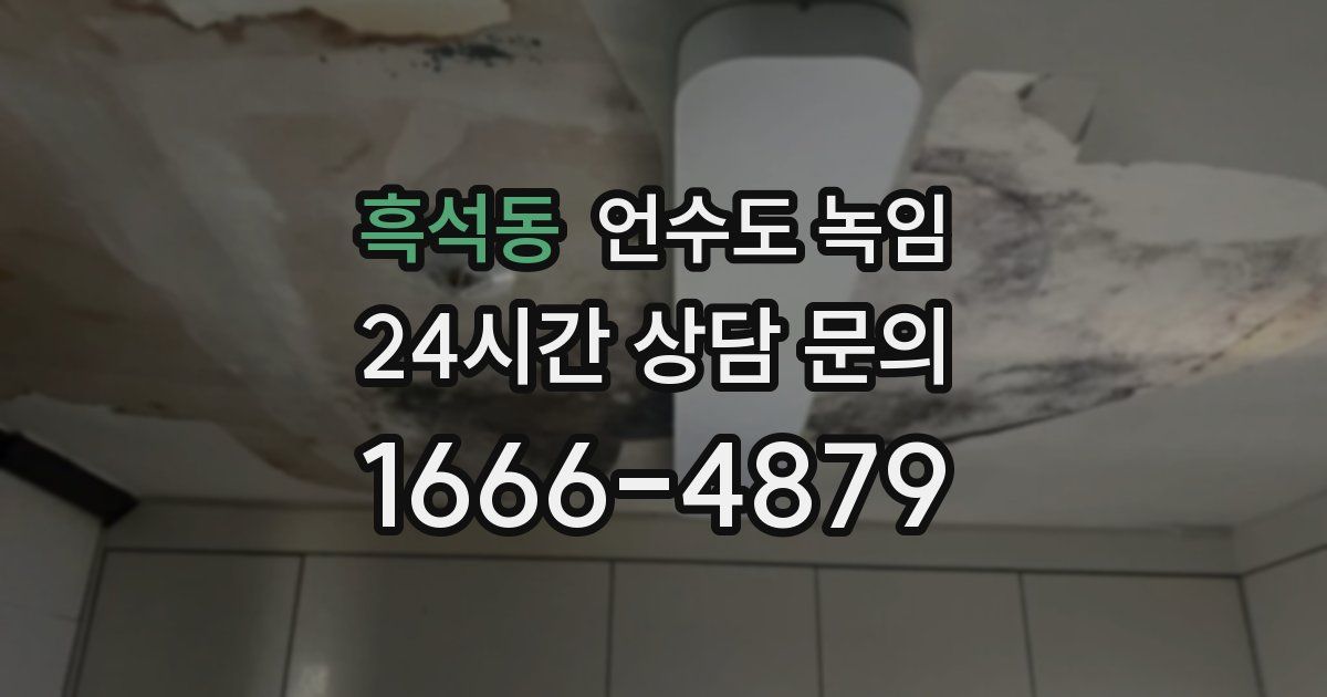 흑석동 언수도 녹임