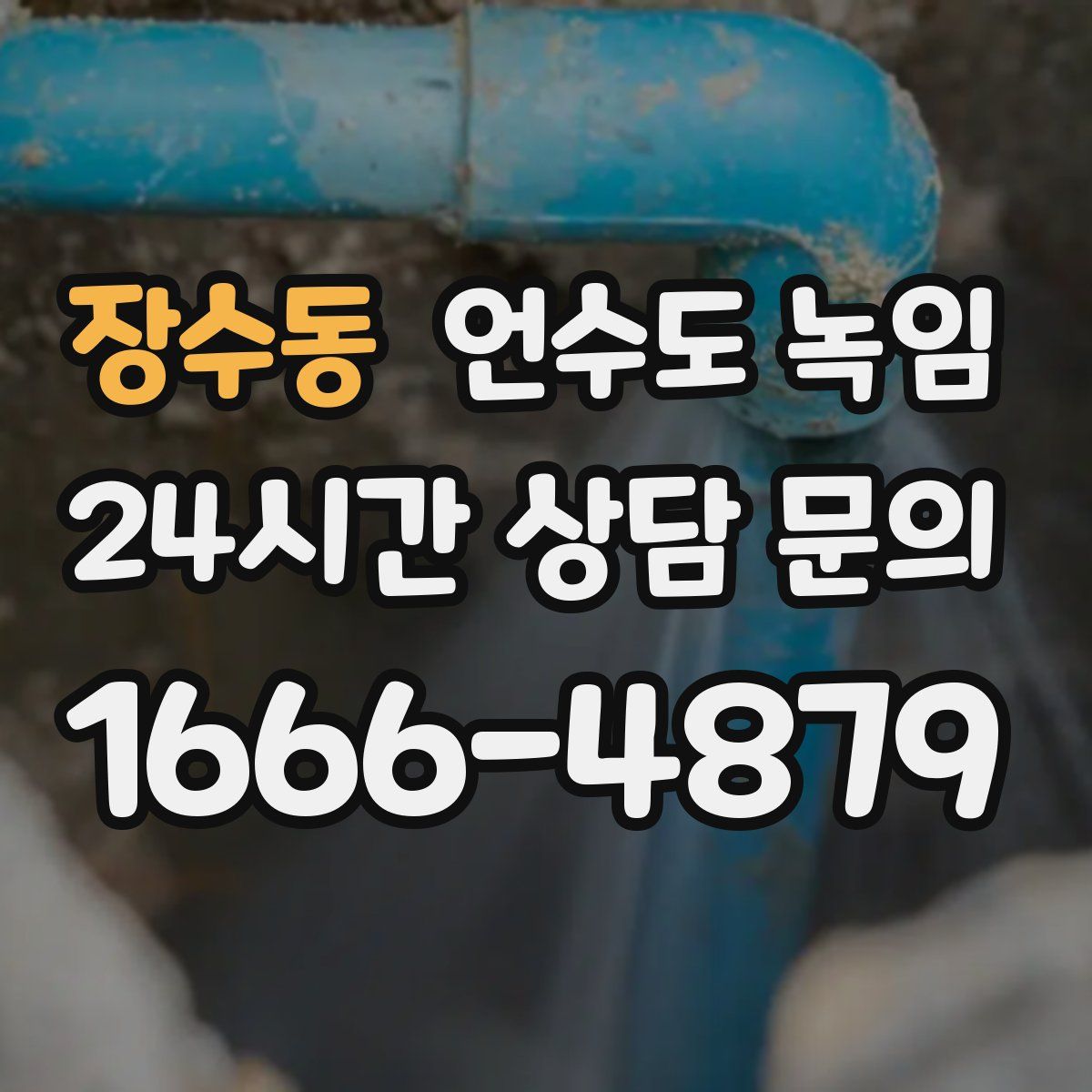 장수동 언수도 녹임