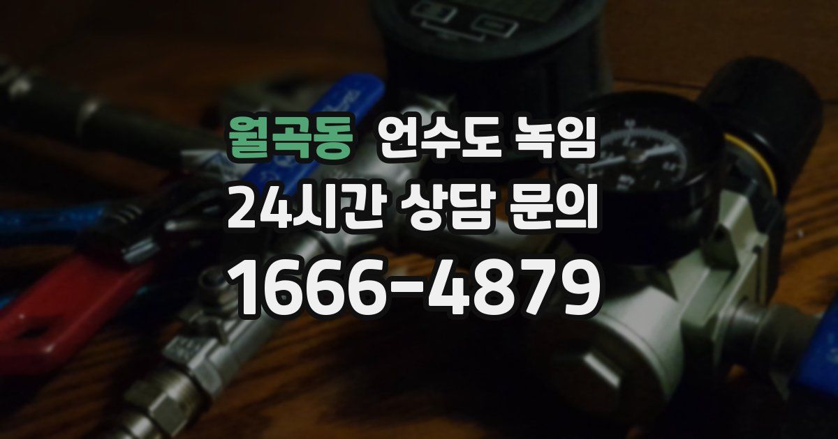 월곡동 언수도 녹임