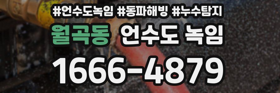 월곡동 언수도 녹임