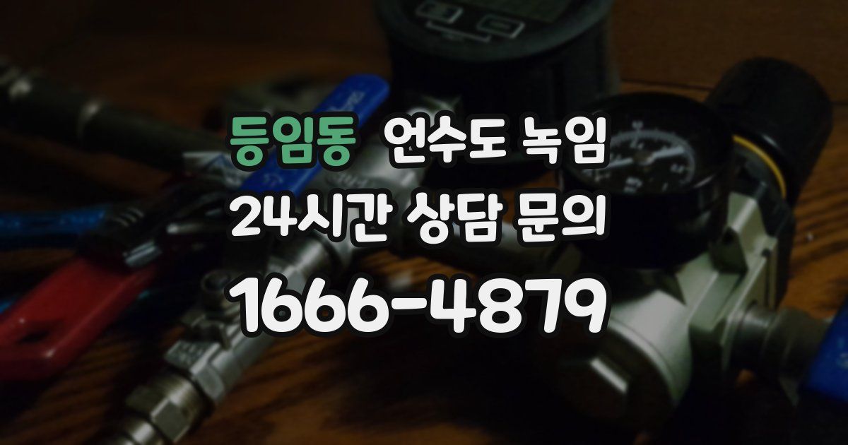 등임동 언수도 녹임