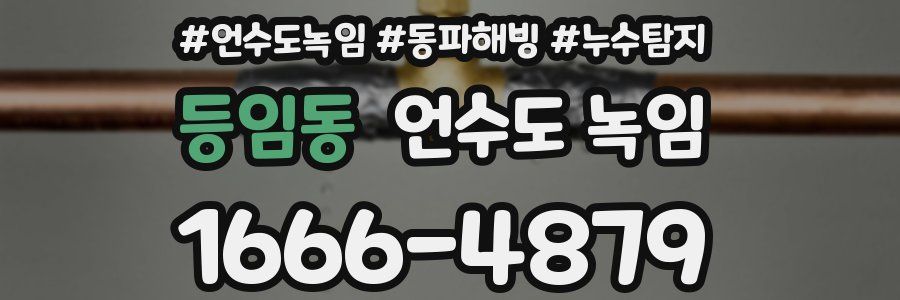 등임동 언수도 녹임